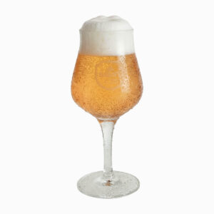 Sensorikglas 0,3 LTR. - 6 Stück